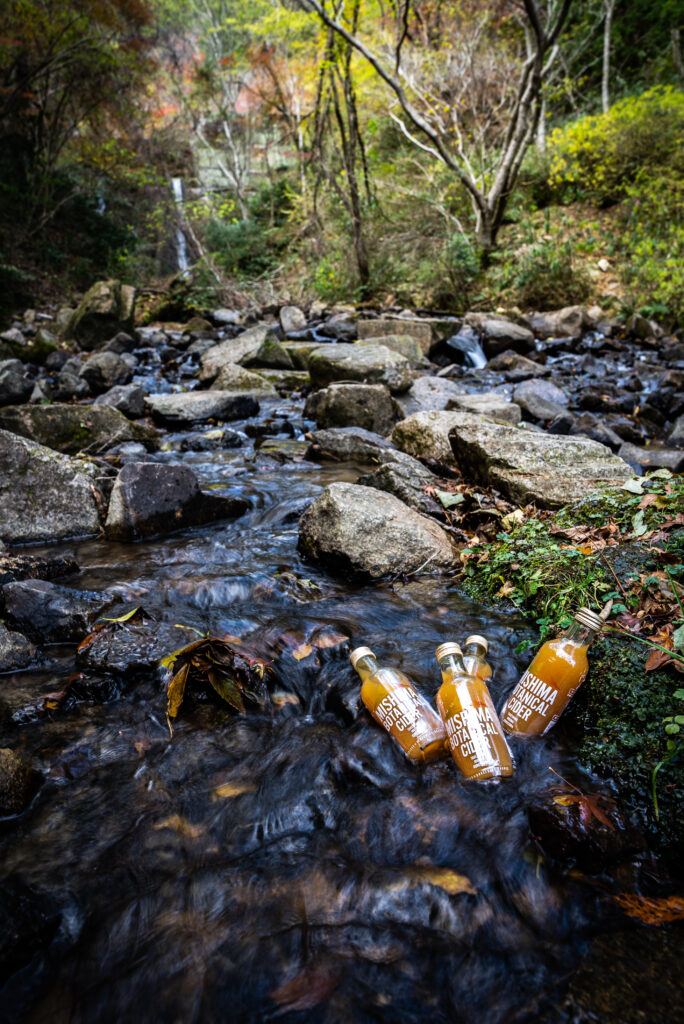 黒島みかんを使用したMISHIMA BOTANICAL CIDERの商品写真